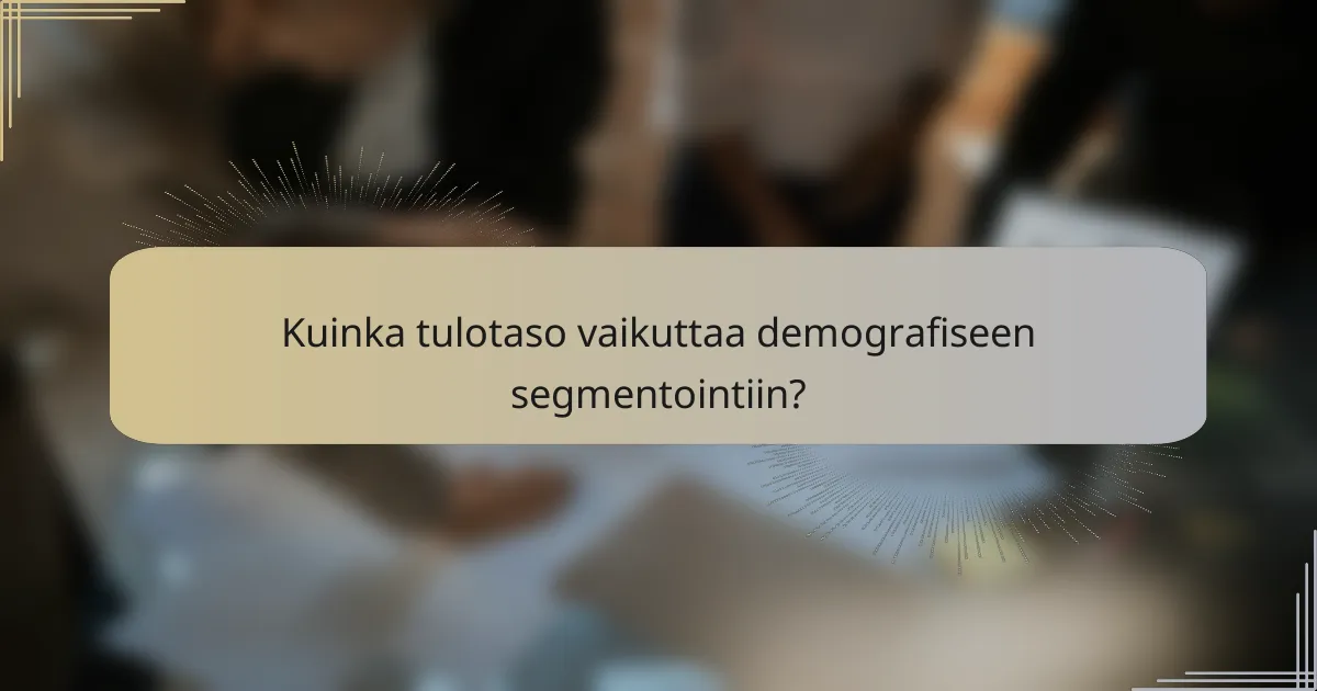 Kuinka tulotaso vaikuttaa demografiseen segmentointiin?