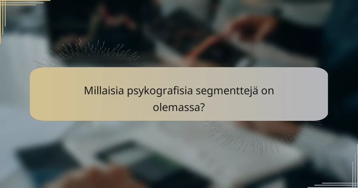 Millaisia psykografisia segmenttejä on olemassa?